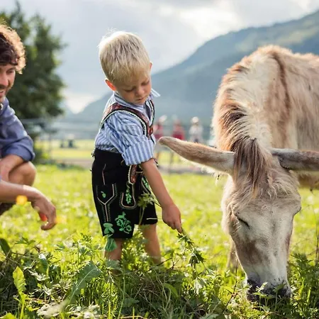 Alpenflair Апартаменты *