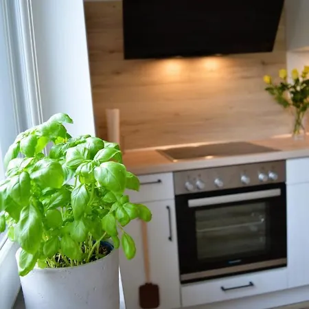 Alpenflair 公寓 贝旺